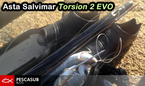 salvimar torsion 2 evo