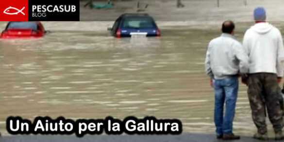 un aiuto per la gallura